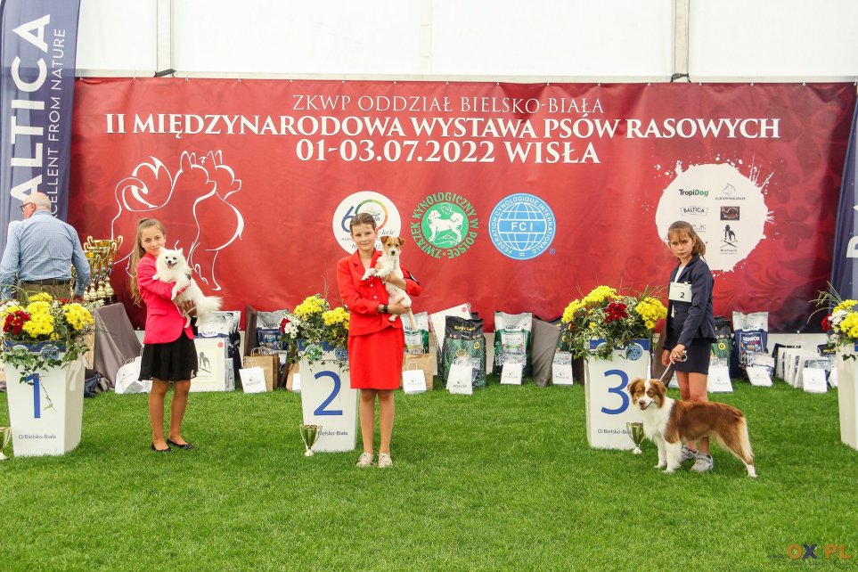 II Międzynarodowa wystawa Psów Rasowych